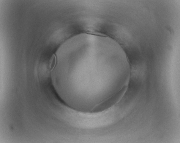 X0000115300043200911231318