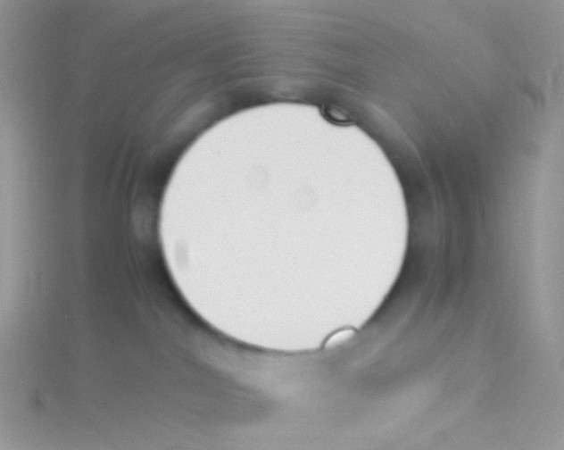 X0000115300044200911231318