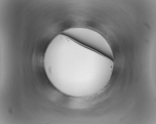 X0000115300045200911231318