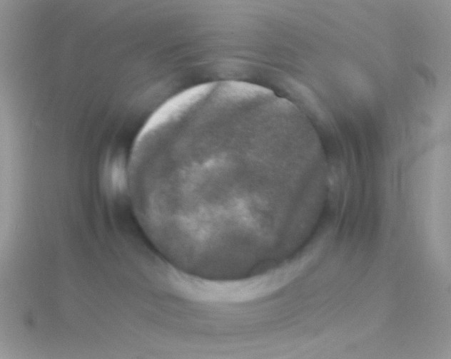 X0000115300046200911231318