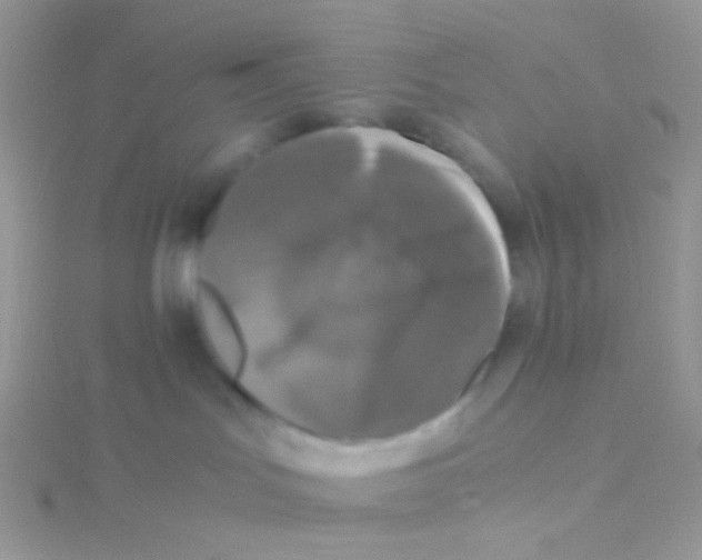 X0000115300047200911231318