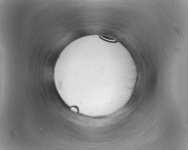 X0000115300048200911231318