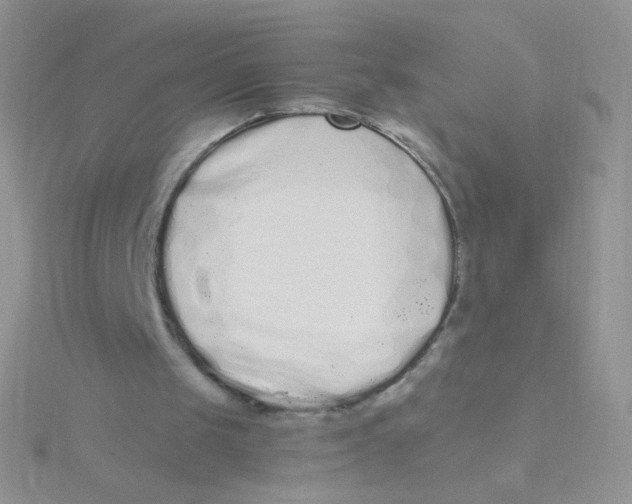 X0000115300049200911231317