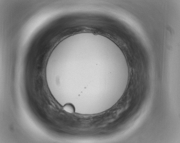 X0000115300050200911231317