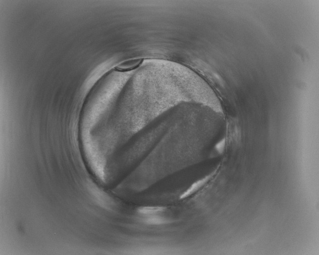 X0000115300051200911231317