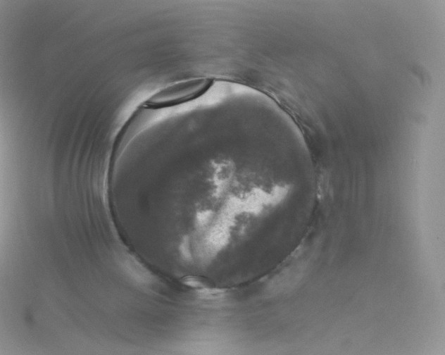 X0000115300052200911231317