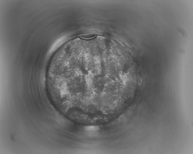 X0000115300053200911231317