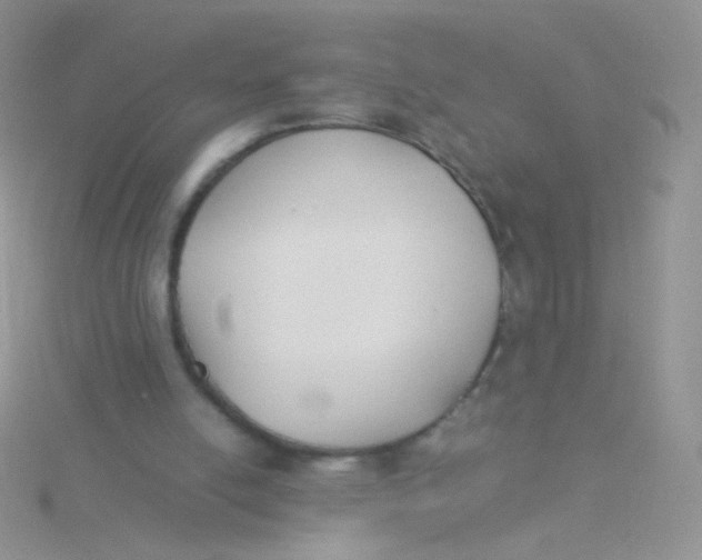 X0000115300054200911231317