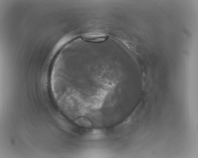 X0000115300056200911231317