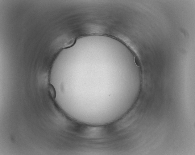 X0000115300057200911231317