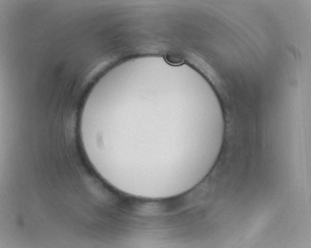 X0000115300058200911231317