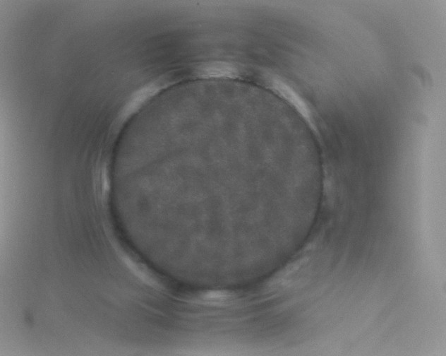 X0000115300059200911231317