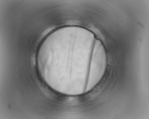 X0000115300060200911231317