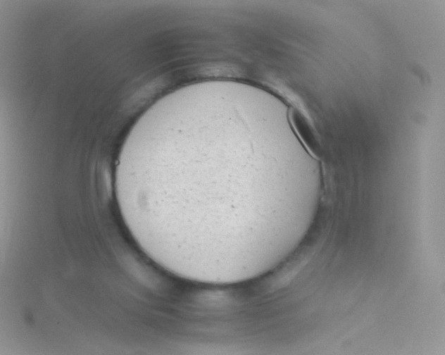 X0000115300061200911231317