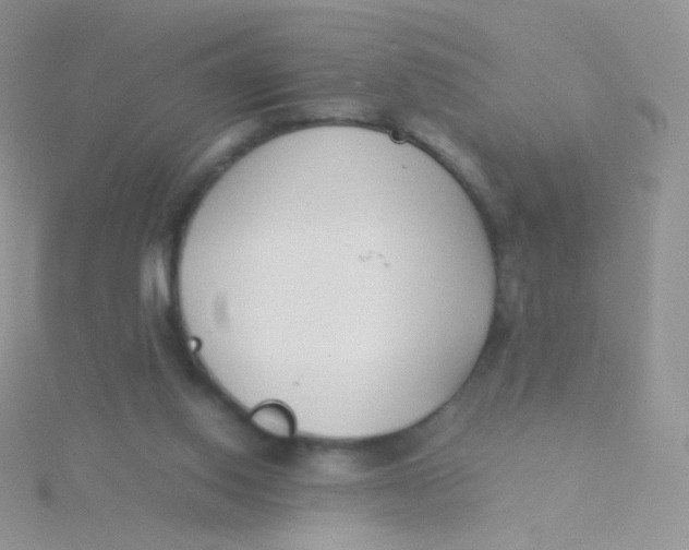 X0000115300062200911231317