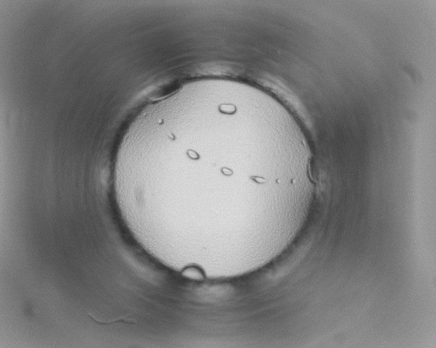 X0000115300063200911231317