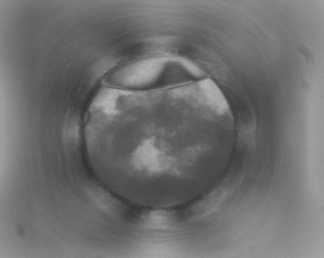 X0000115300064200911231317