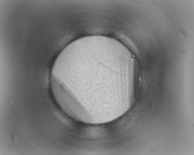 X0000115300065200911231317