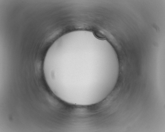 X0000115300066200911231317