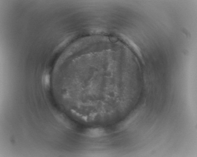 X0000115300067200911231317