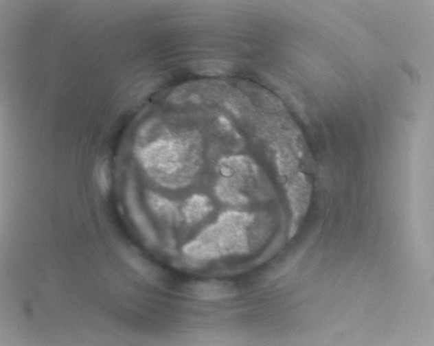 X0000115300069200911231317