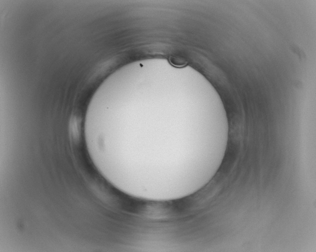 X0000115300070200911231317