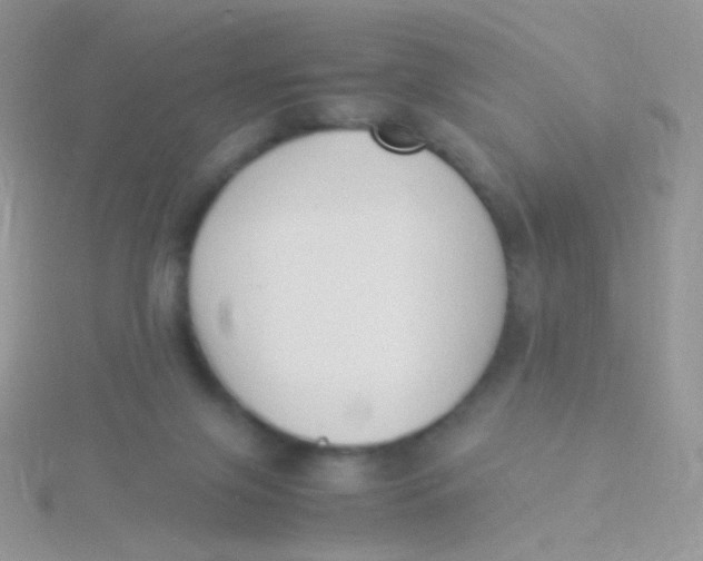 X0000115300071200911231317