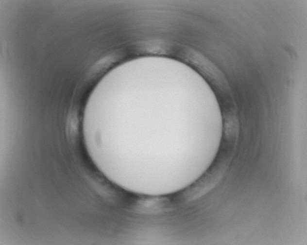 X0000115300072200911231317