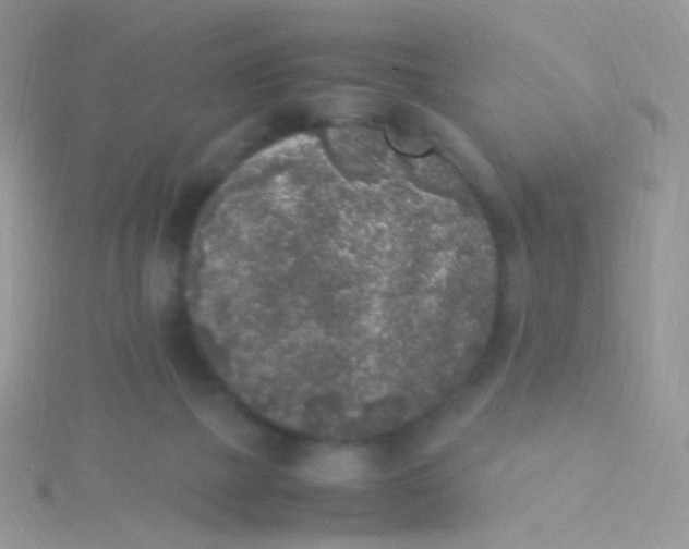 X0000115300073200911231317