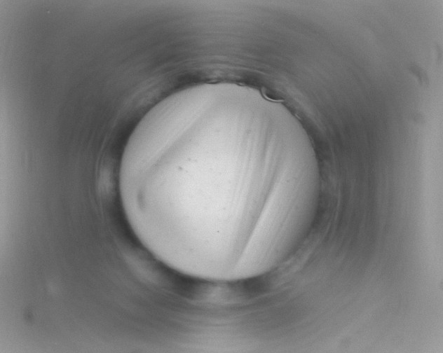 X0000115300074200911231317