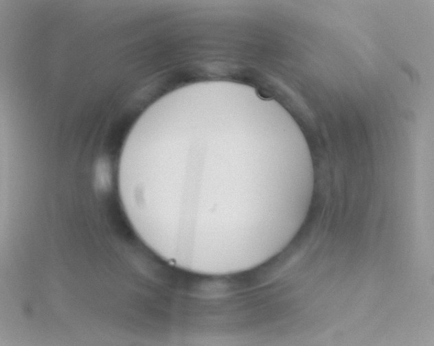 X0000115300075200911231318