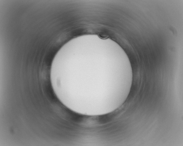 X0000115300078200911231318