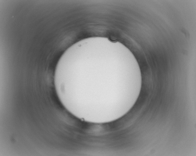 X0000115300083200911231318