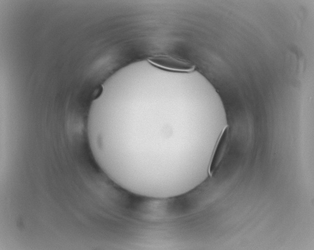 X0000115300084200911231318