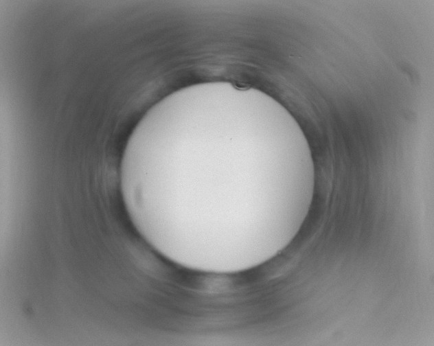 X0000115300085200911231318