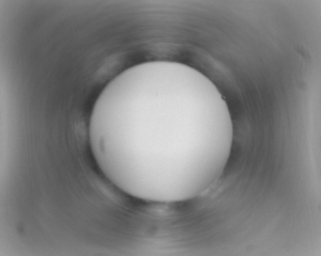 X0000115300086200911231318