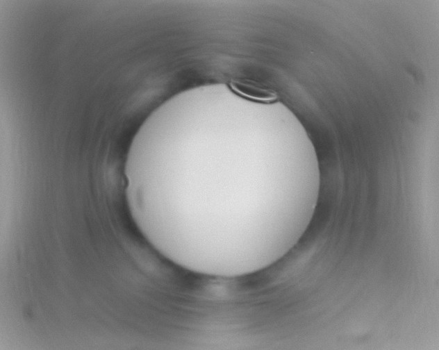 X0000115300088200911231318