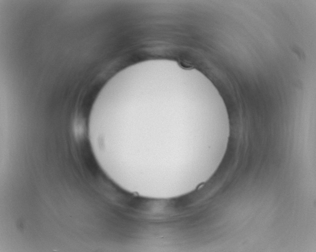 X0000115300089200911231318