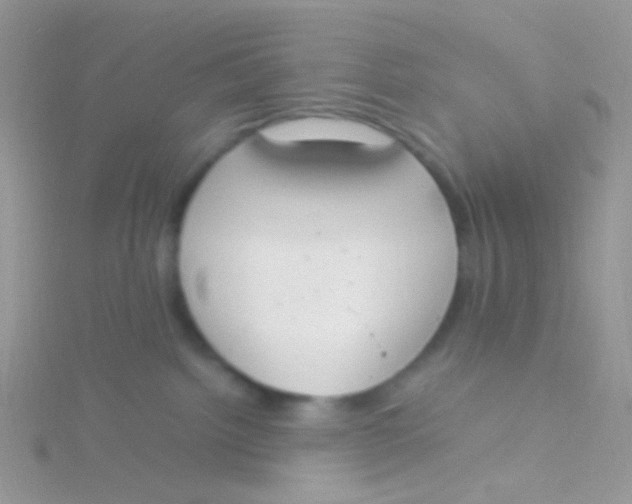 X0000115300092200911231318