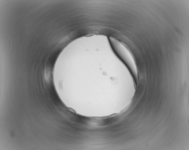 X0000115300094200911231318