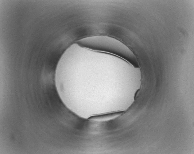 X0000115300096200911231318