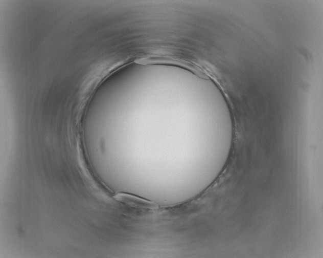 X0000115300097200911231317