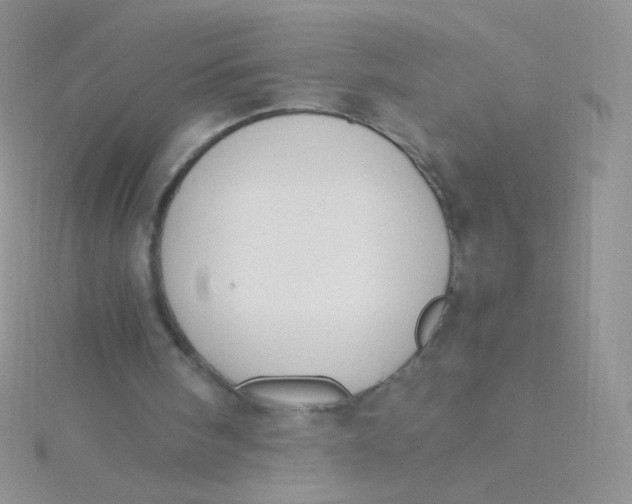 X0000115300098200911231317