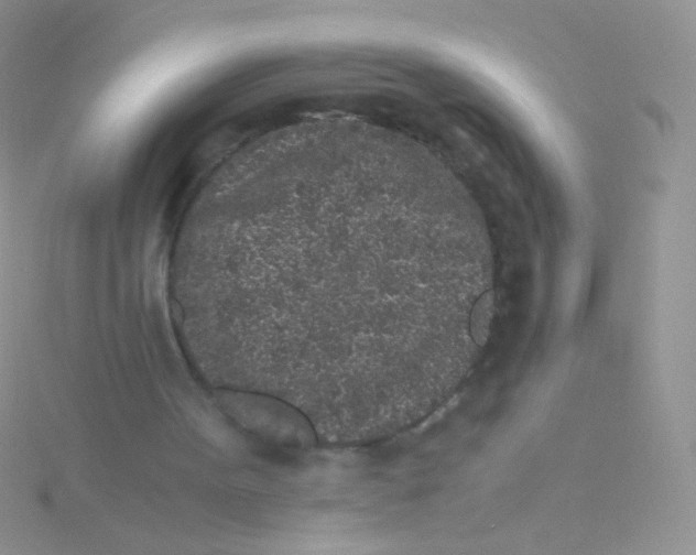 X0000115300099200911231317