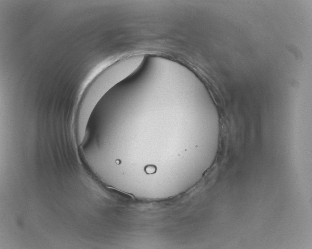 X0000115300100200911231317