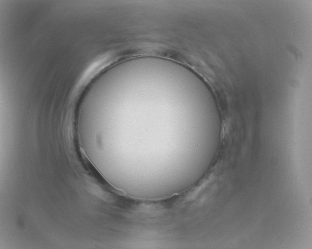 X0000115300101200911231317