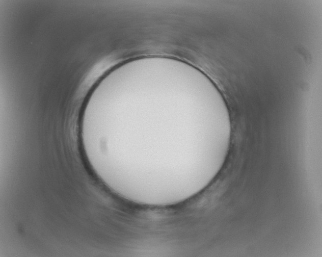 X0000115300103200911231317