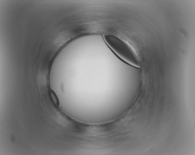 X0000115300105200911231317