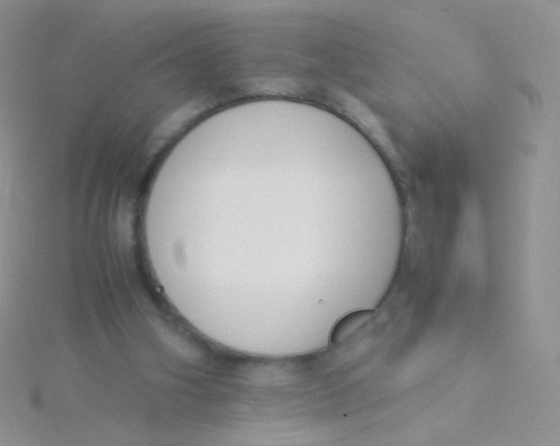 X0000115300106200911231317