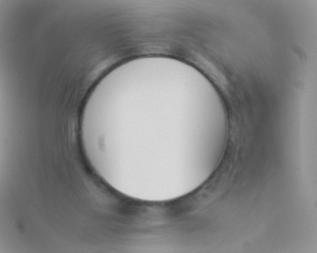 X0000115300107200911231317